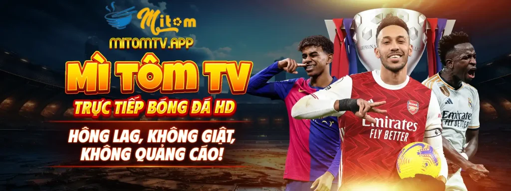 banner mitomtv